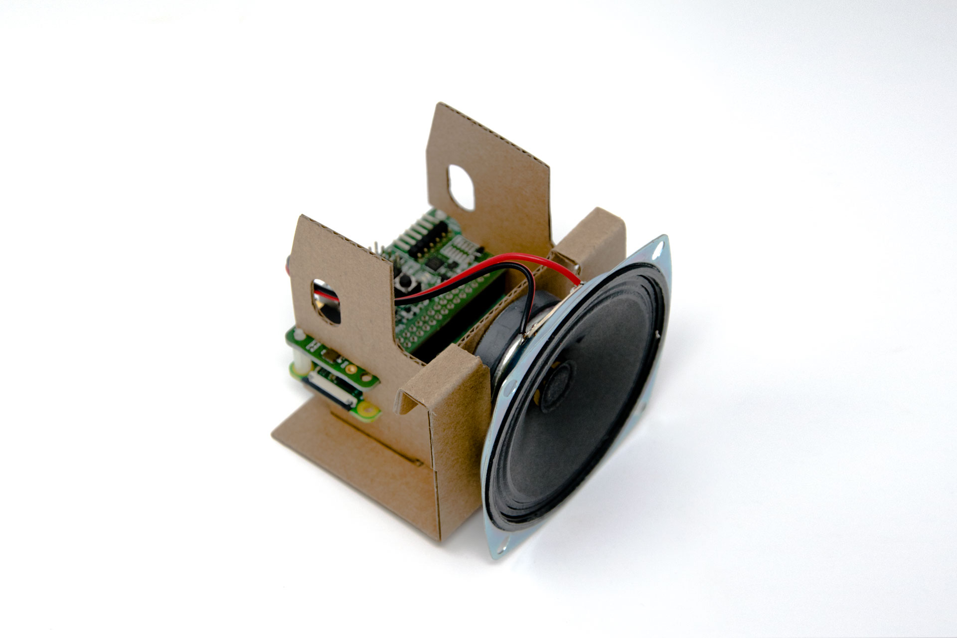 Google AIY Voice Kit